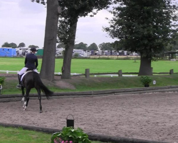 Reitturnier Datteln 2017