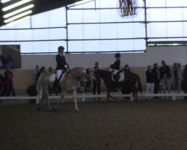 Reitturnier Datteln 2017