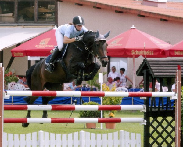 broodmare Ilypse II (Holsteiner, 1994, from Calypso II)