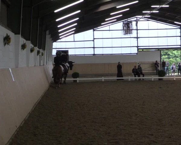 Reitturnier Datteln 2017
