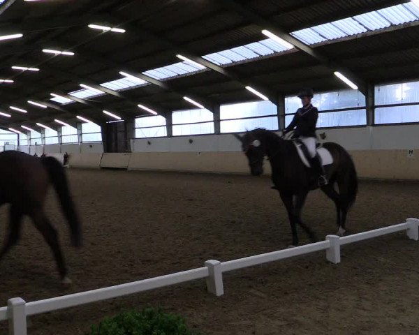 Reitturnier Datteln 2017