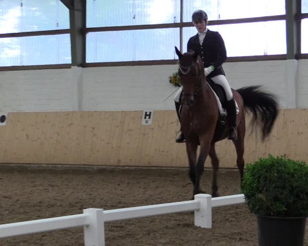 Reitturnier Datteln 2017