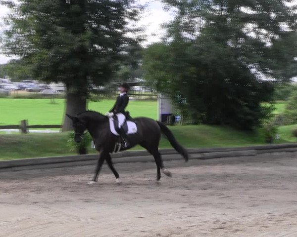 Reitturnier Datteln 2017