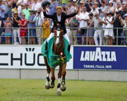 jumper Misanto Pret A Tout (Selle Français, 2003, from Hiram Chambertin)