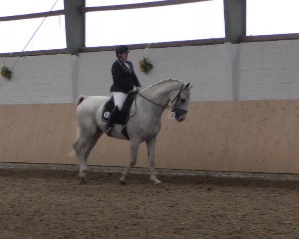 Reitturnier Datteln 2017