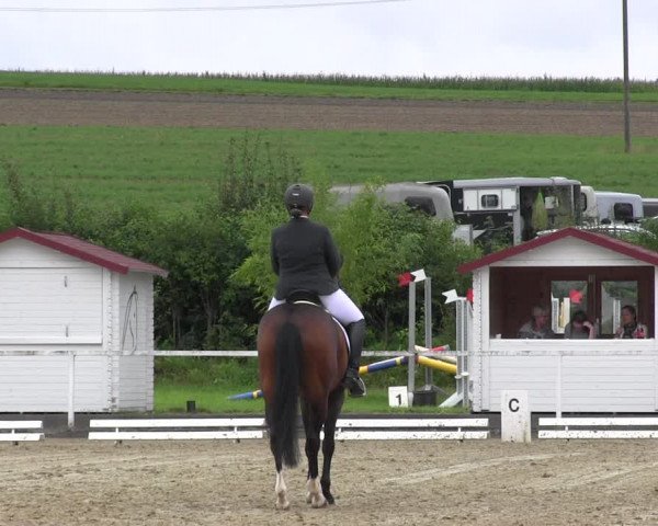 Reitturnier Menden 2017