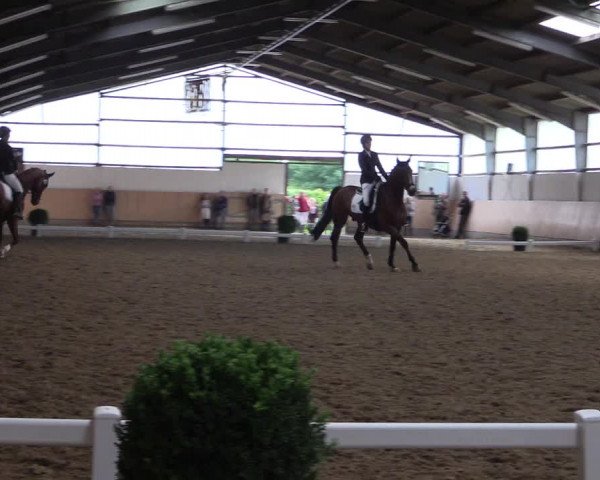 Reitturnier Datteln 2017