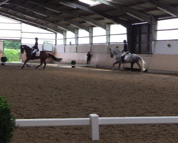 Reitturnier Datteln 2017