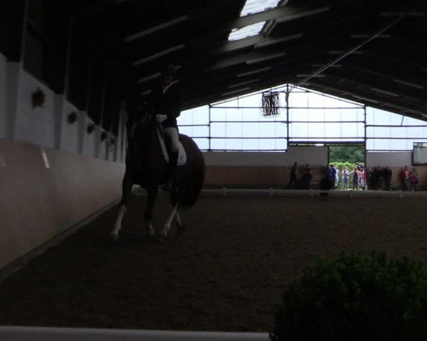 Reitturnier Datteln 2017