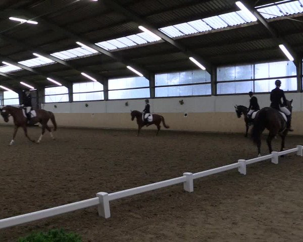 Reitturnier Datteln 2017