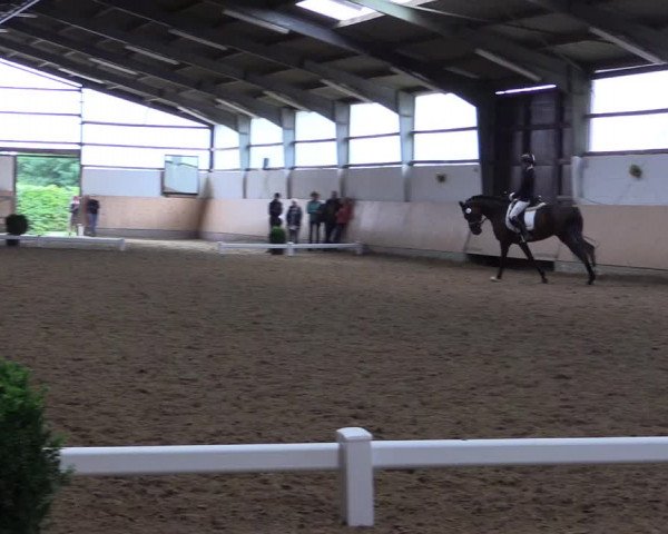 Reitturnier Datteln 2017