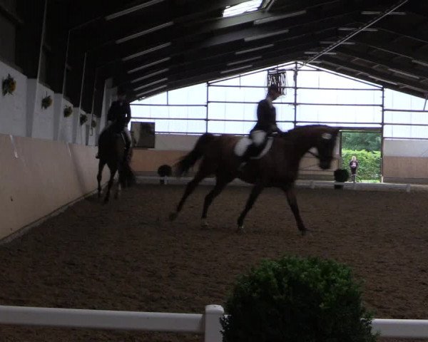 Reitturnier Datteln 2017