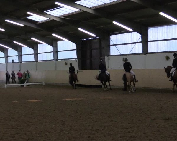 Reitturnier Datteln 2017