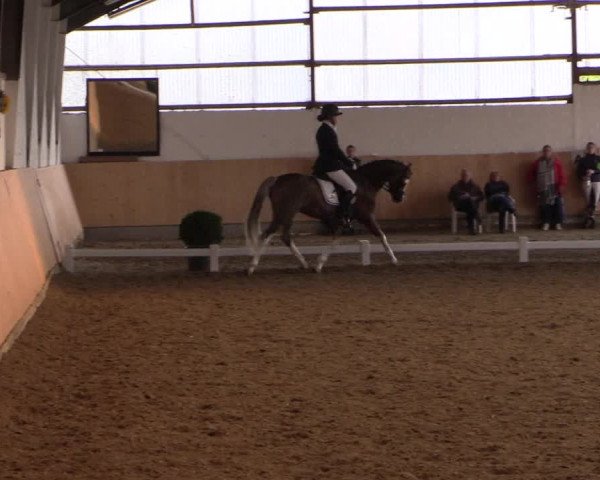 Reitturnier Datteln 2017