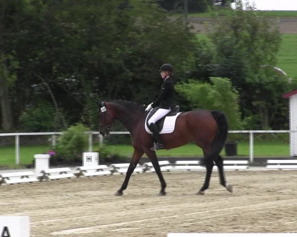 Reitturnier Menden 2017