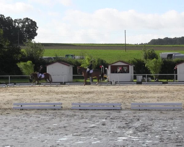 Reitturnier Menden 2017