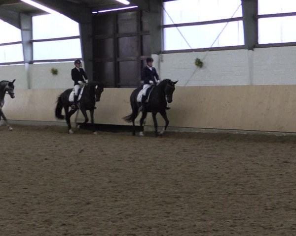 Reitturnier Datteln 2017