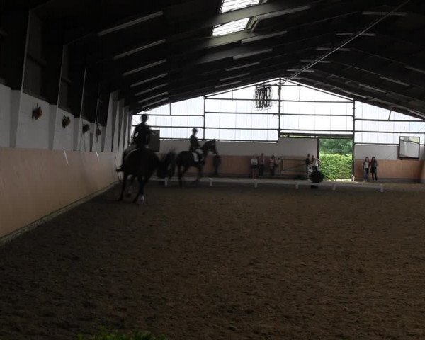Reitturnier Datteln 2017