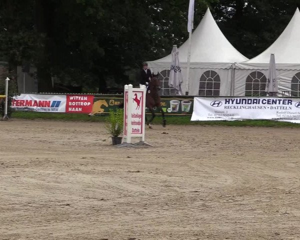 Reitturnier Datteln 2017