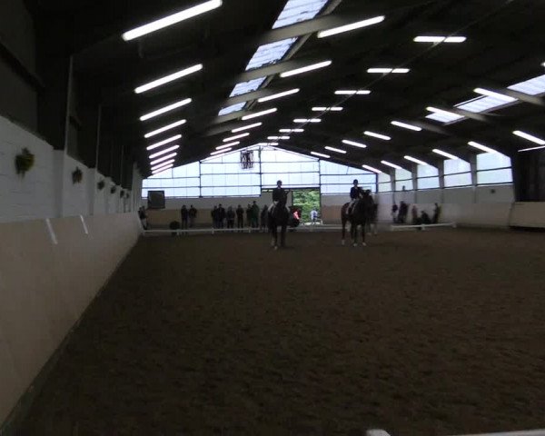 Reitturnier Datteln 2017