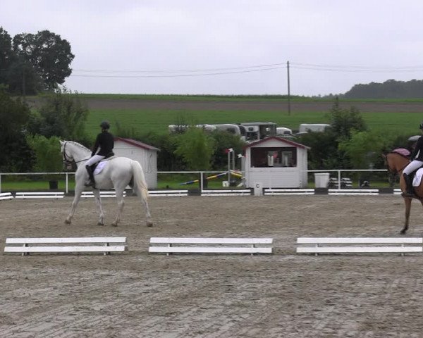 Reitturnier Menden 2017
