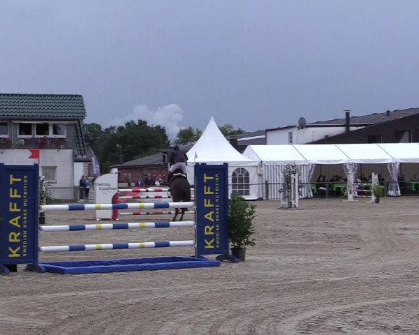 Reitturnier Datteln 2017