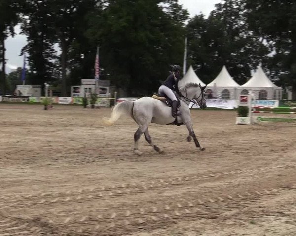 Reitturnier Datteln 2017