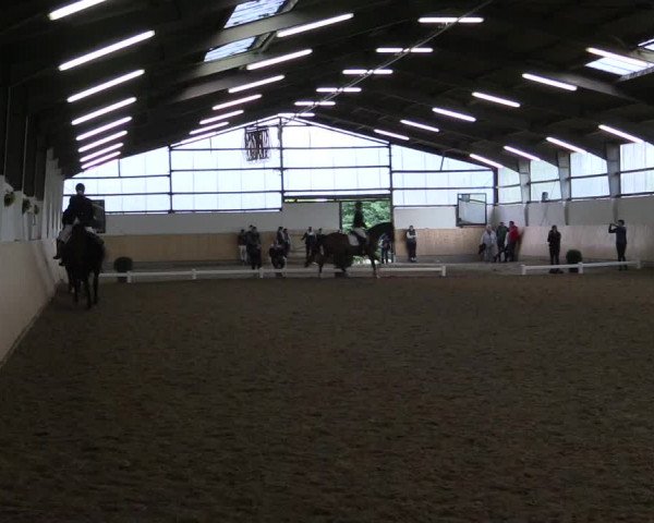 Reitturnier Datteln 2017