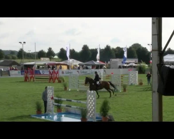 Reitturnier Mühlengeez 2017