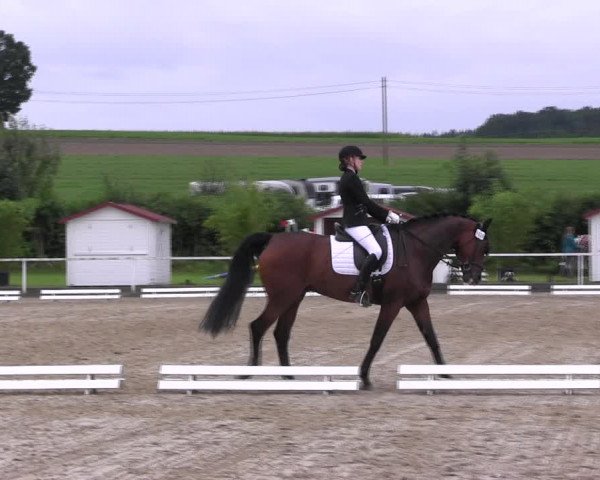 Reitturnier Menden 2017