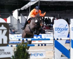 jumper Constantin 45 (Westphalian, 1999, from Cordobes I)