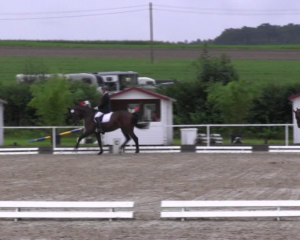 Reitturnier Menden 2017