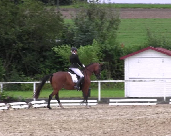 Reitturnier Menden 2017