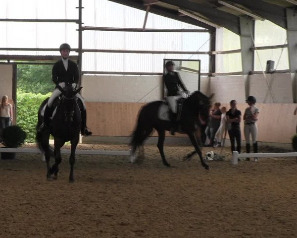 Reitturnier Datteln 2017