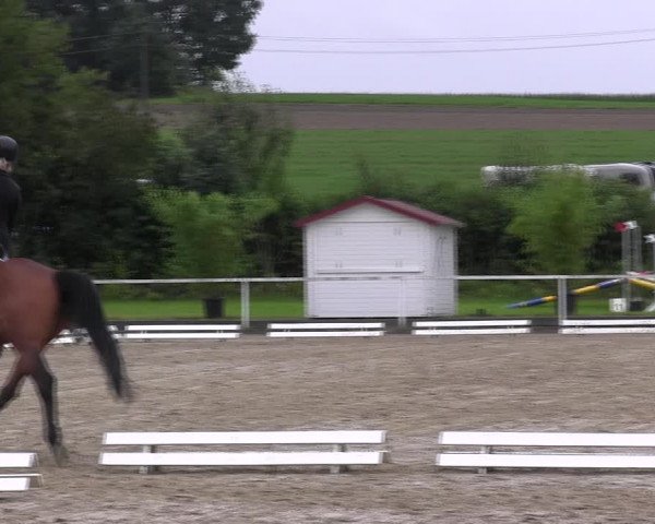 Reitturnier Menden 2017