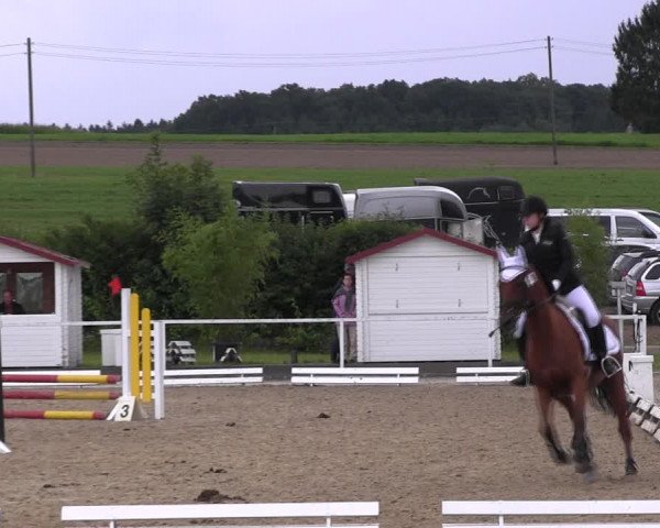 Reitturnier Menden 2017