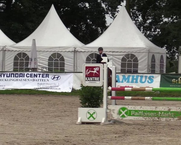Reitturnier Datteln 2017