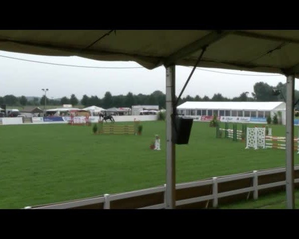 Reitturnier Mühlengeez 2017