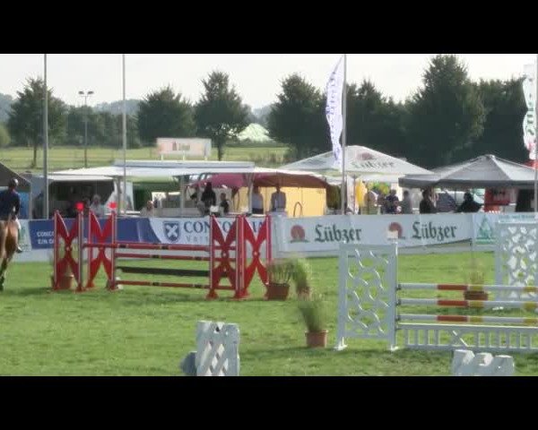 Reitturnier Mühlengeez 2017