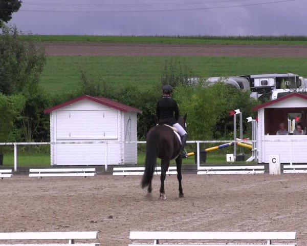 Reitturnier Menden 2017