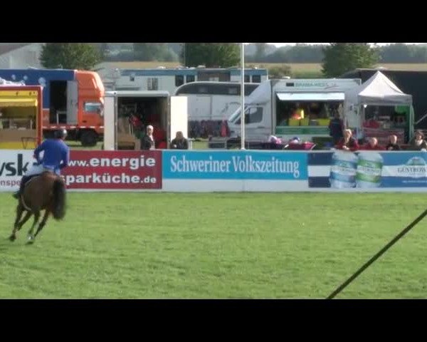 Reitturnier Mühlengeez 2017