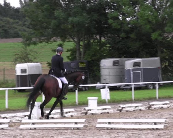 Reitturnier Menden 2017