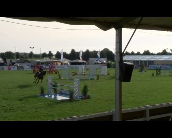 Reitturnier Mühlengeez 2017