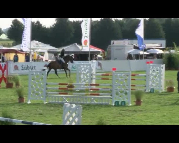 Reitturnier Mühlengeez 2017
