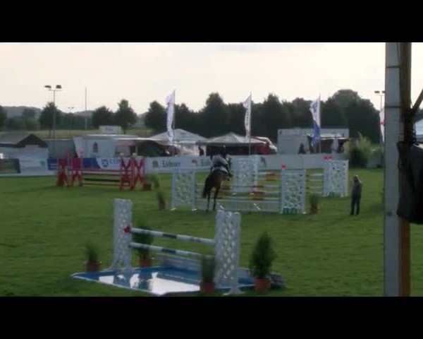 Reitturnier Mühlengeez 2017