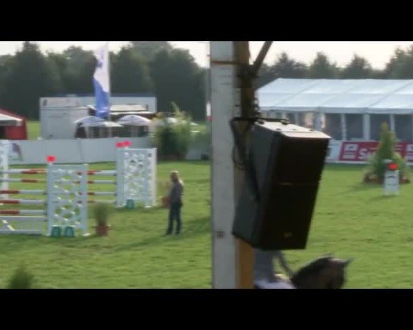 Reitturnier Mühlengeez 2017