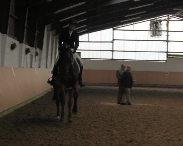 Reitturnier Datteln 2017