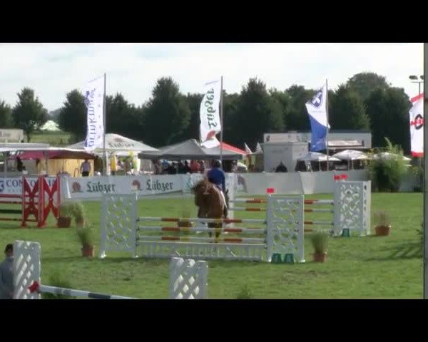 Reitturnier Mühlengeez 2017