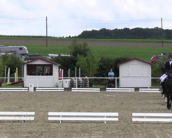 Reitturnier Menden 2017