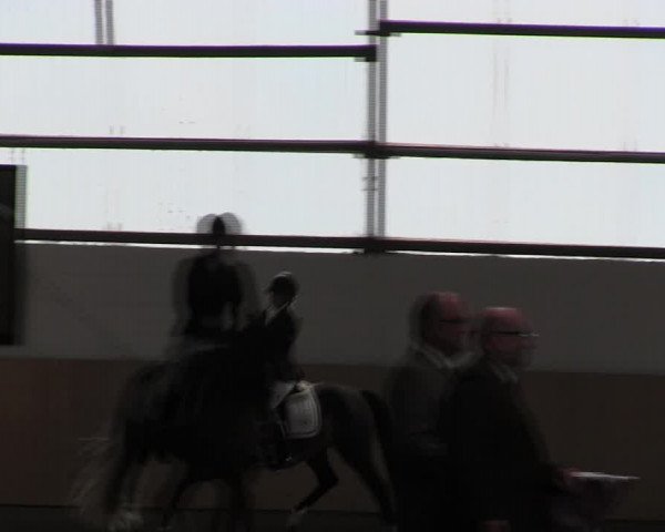 Reitturnier Datteln 2017
